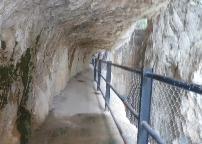 Romi Orba