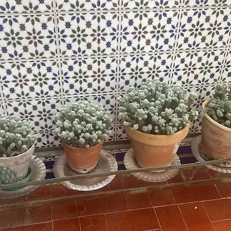 Hébergement de vacances Romi Orba